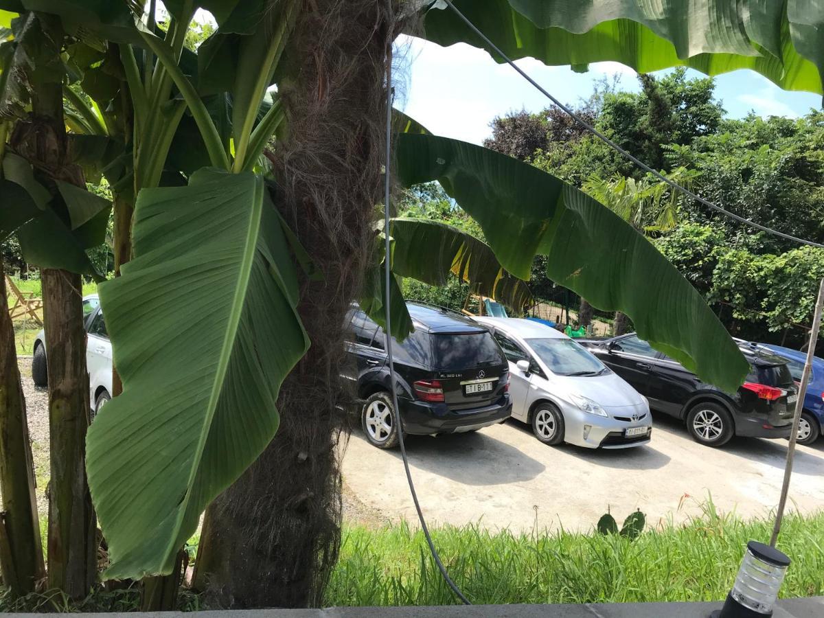 Guest House Botanical Paradise Mtsvane Kontskhi Exterior foto